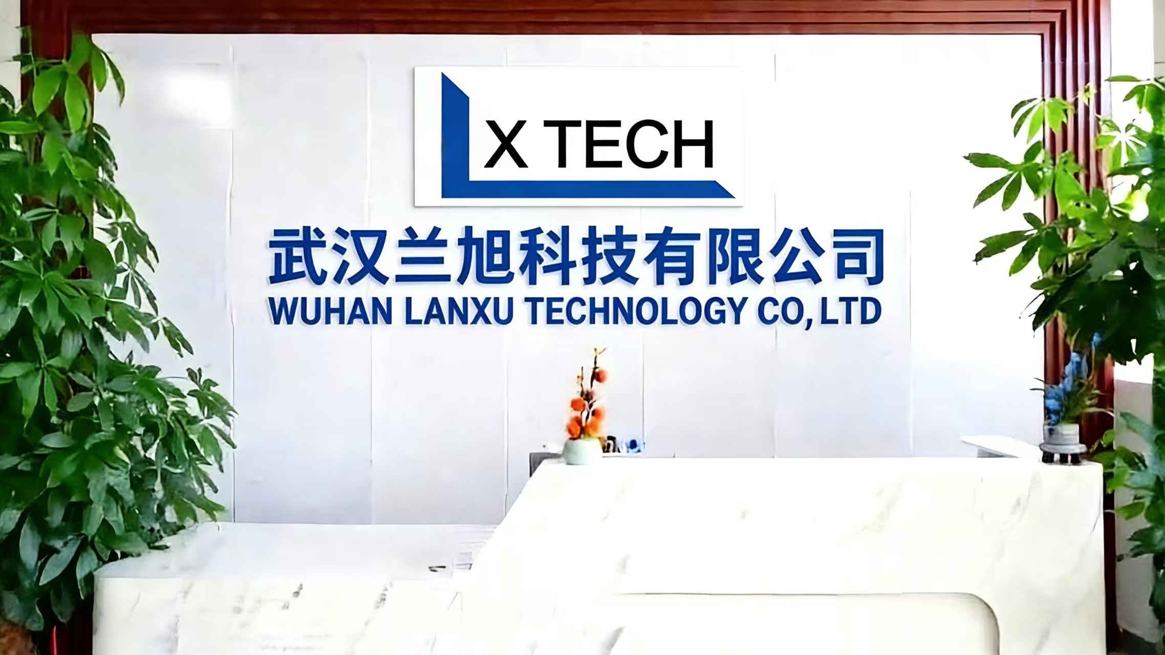 Wuhan Lanxu Technology Co., Ltd.