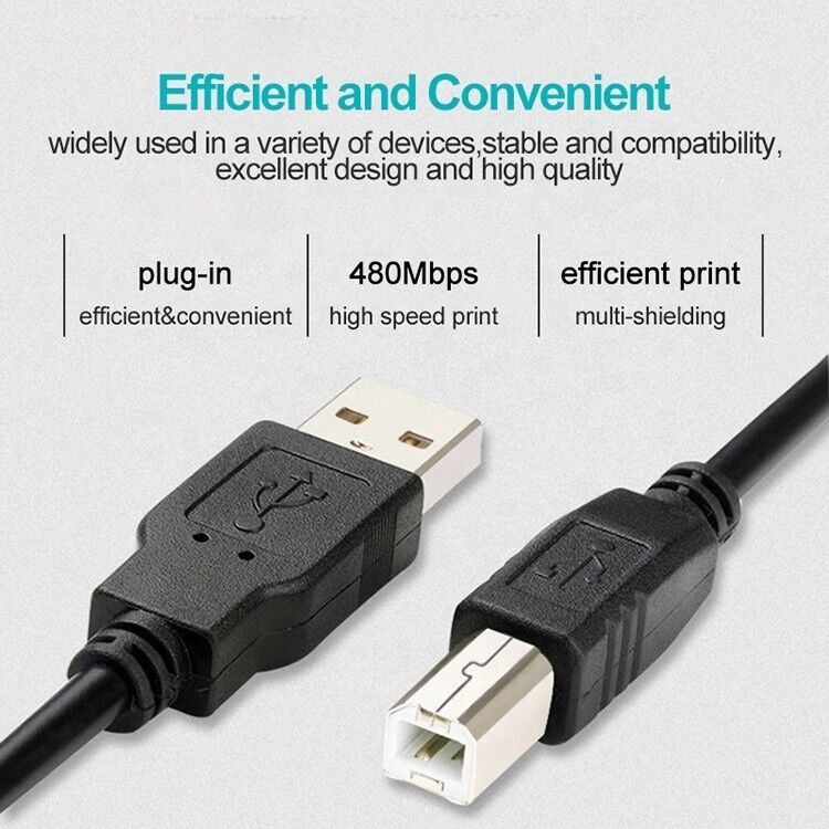 High Quality 1M Data Charging USB B Male to USB 2.0 A Male  Printer Scanner Cord Cable